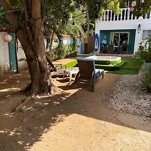 book here
